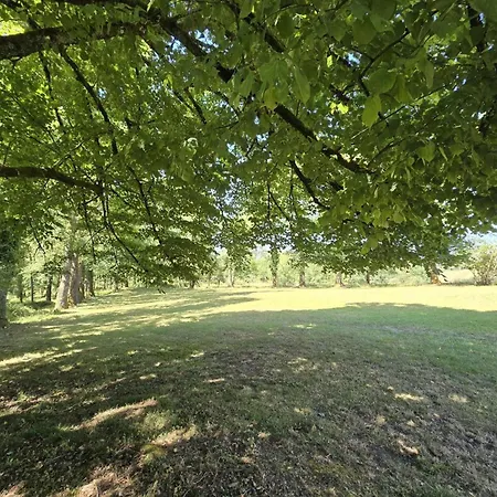 Maison Avec Vue Sur Jardin Et Forãªt - 6 Pers. - Fr-1-616-591 Milhac-de-Nontron